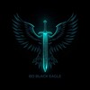 Logo of telegram channel bdblackeagle — 𒆜 BD BLACK EAGLE 𒆜 🇧🇩