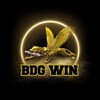 Logo of telegram channel bdgwinprediction09 — BDG WIN PREDICTION ❤️