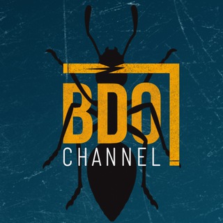 Логотип телеграм канала @bdo_channel — BDO_Channel