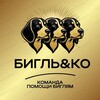 Логотип телеграм канала @beagle_and_co — БИГЛЬ&КО. Команда помощи биглям🐶