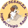 Telegram channel Биглебанда logo