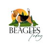 Логотип телеграм канала @beagles_today — Beagles.today