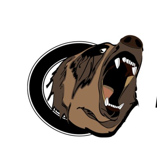 Логотип телеграм канала @bear_sound — Студия Автозвука Медведь