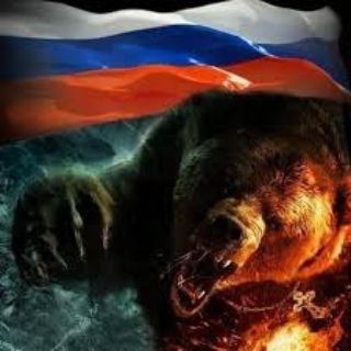 Логотип телеграм канала @bear007 — Медведь