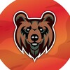 Логотип телеграм канала @bears_attacks — Медвежий google