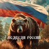Логотип телеграм канала @bearsofrussia — Медведи России