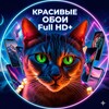 Logo of telegram channel beautiful_wallpapers_phone — Красивые обои на телефон Full HD 