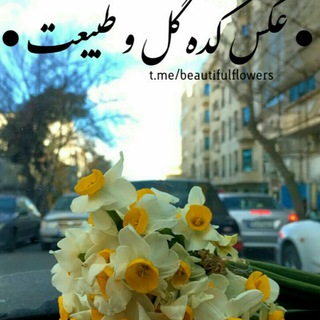 لوگوی کانال تلگرام beautifulflowers — عکس کده گل و طبیعت