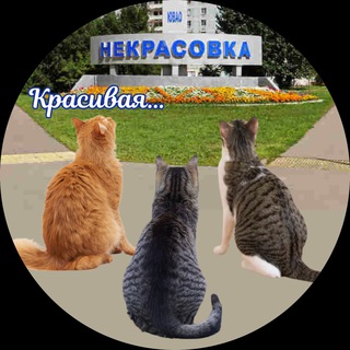Логотип телеграм канала @beautifulnekrasovka — Красивая Некрасовка