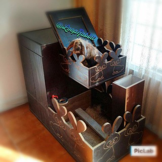 لوگوی کانال تلگرام beautifulrabbitstore — BeautifulRabbit Store
