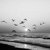 Логотип телеграм канала @beautquote — Уголок цитат🍃
