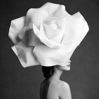 Логотип телеграм канала @beautyaddictya — Эстет или Эксперт?