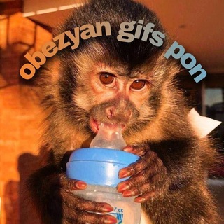 Логотип телеграм канала @bebezyan224pro — ☀️obezyan gifs pon/гифки с обезьянами