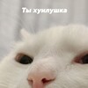 Логотип телеграм канала @bebri4i — Данилка Бебрыч