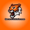 Logotipo do canal de telegrama becarodasplataformarobozinho - INIMIGOS DO CASSINO 🎰