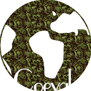Логотип телеграм канала @becoeval — Coeval