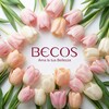 Логотип телеграм канала @becosrussia — Becos Russia