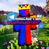 Логотип телеграм канала @bedrockmods10 — BEDROCK MODS-Аддоны на майнкрафт бедрок