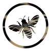 Telegram channel ʙ ᴇ ᴇ ᴀ ʀ ᴛ ɢ ʀ ᴏ ᴜ ᴘ logo