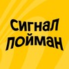 Логотип телеграм канала @beelinespace — Сигнал пойман