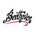 Logo saluran telegram beethoven44 — Beethoven Store ️