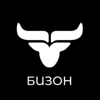 Логотип телеграм канала @beezone_mgn — БИЗОН МАГНИТОГОРСК