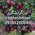 لوگوی کانال تلگرام beheshttoor — تور بهشت (محمدی)