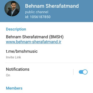Logo of telegram channel behnamsherafatmandofficial — بهنام شرافتمند