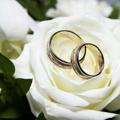 لوگوی کانال تلگرام behtarinhamsarr — 💑بهترین همسر💑