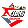 Logo saluran telegram beihaijava — 北海数据| DPI-SDK-P2P网贷|网购|国企|单位|贷款|渗透数据