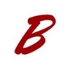 Logo del canale telegramma beinisraelchannel - BeinIsrael