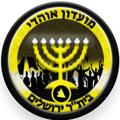 Logo del canale telegramma beitarfans - מועדון אוהדי בית"ר ירושלים