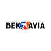 Telegram kanalining logotibi bekavia — Онлайн Авиабилетлар | BEK AVIA