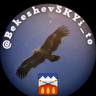 Логотип телеграм канала @bekeshevskyi_to — Бекешевский ТО