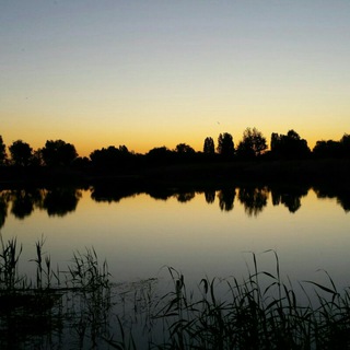 Telegram channel БелГородские подробности logo