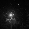 Логотип телеграм канала @bel0vvzero — ниже нуля