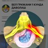 Telgraf kanalının logosu bel_doktor — BEL DOKTOR