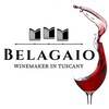 Логотип телеграм канала @belagaio — Вelagaio