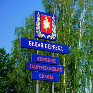 Логотип телеграм канала @belayabereska — БЕЛАЯ БЕРЕЗКА