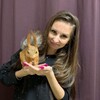 Логотип телеграм канала @belchon0k_v_domee — Бельчонок в доме