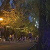 Логотип телеграм канала @belgorod_love — в Белгороде любят 🫀