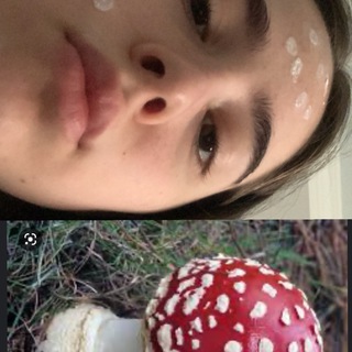 Логотип телеграм -каналу belichya — polyscd