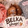 Telegram channel BELKA_shopi 🐿️ logo