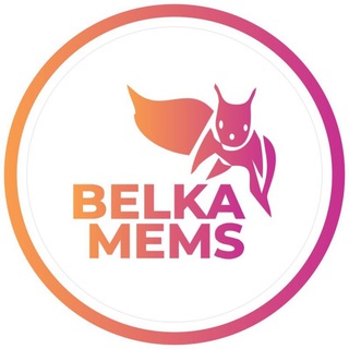 Логотип телеграм канала @belkamemes — Belka Memes