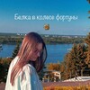 Логотип телеграм канала @belkavkolesefortuni — Белка в колесе фортуны