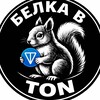 Логотип телеграм канала @belkavton — Белка в TON 🐿️