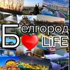 Логотип телеграм канала @bellife31 — Белгород Лайф