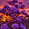 Логотип телеграм канала @belovedwoman1 — 🌸Струны женского сердца...🌸