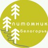 Логотип телеграм канала @belpitomnik31 — Питомник Белогорья