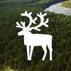 Логотип телеграм канала @belraion — Администрация Белоярского района (Югра)